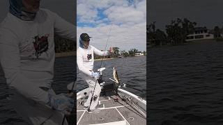 Phenomenal Winter Bass Fishing in central Florida  #shorts #bassfishing #fishing #florida #winter