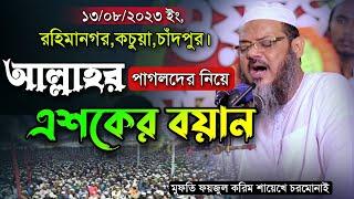 গতকালকে মাহফিলে আল্লাহর পাগলদের নিয়ে শায়েখে চরমোনাইর এশকের বয়ান। Mufti Foyzul karim Cormonai New Waz