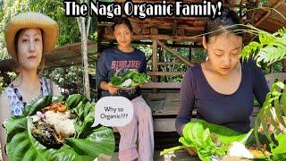 The Naga Organic Family  || Healthy Lifestyle || Lolo Ezung