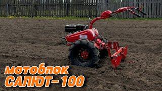 Мотоблок САЛЮТ-100 / сажаем картофель