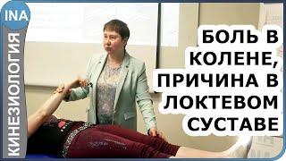 Боль в колене. Причина боли в локтевом суставе. Кинезиология. Людмила Васильева