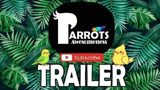 Parrots Awesomeness | BIRDS CHANNEL TRAILER