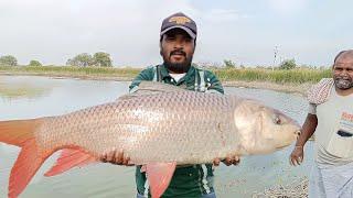 "BIGGEST Rohu Ever Caught!  Unbelievable Monster Fish – INSANE Catch!" | "Secret Bait Works!"