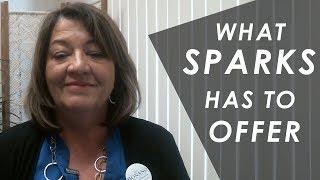 Reno Area Real Estate Agent: What Sparks Has to Offer