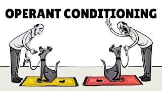 Skinner’s Operant Conditioning: Rewards & Punishments