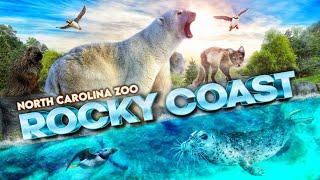 Zoo Tours: Rocky Coast | North Carolina Zoo