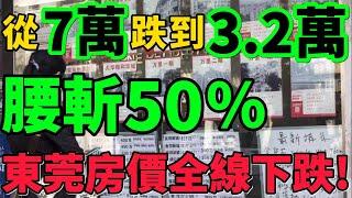 【東莞房價全線下跌】腰斬50%！從7萬跌到3.2萬，樓市跌回2018年，炒房客崩潰！#房價 #樓市 #東莞 #財經 #新聞