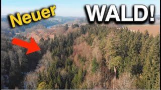 Neuer Wald! Käfer-Fichten sichten und vernichten!