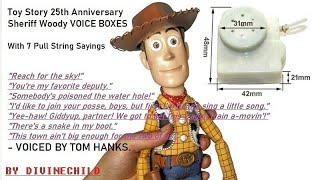 Movie Accurate Sheriff Woody Voice Boxes Now On Sale