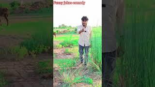 maithili comedy #darbhanga #comedy #darbhangamithila #comedyvideos #bihar #maithilidhamalcomedy