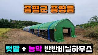 농막 + 텃밭 비닐하우스 (증평군 증평읍) farmer's hut & crop cultivation vinyl house