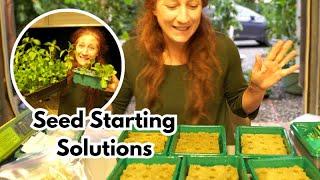 Starting Seeds in Rockwool / / Hydroponic Seed Starting / / Why Your Seeds May Not Germinate.