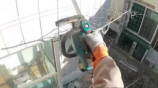 피해목제거 감나무 ,Persimmon Tree Climbing Removal ,Makita Arborist Top Handle Battery Chainsaw