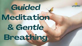 Guided Meditation & Gentle Breathing | Meditation session with Michaël Bijker