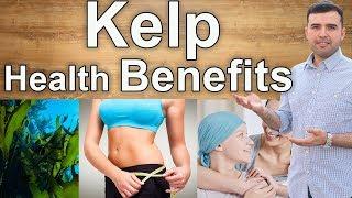 Amazing Benefits of Kelp – Interesting Advantages of Consuming Kelp for Your Health