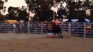 Merrett Logging 2014 Penola and Districts Community Rodeo