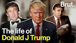 The life of Donald J Trump