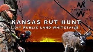 KANSAS RUT HUNT: DIY public land whitetails