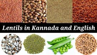 Lentils in English and kannada(A-Z) | lentils name with pictures #lentils #english #kannada