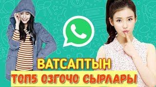 ТОП 5 ВАТСАПТЫН ОЗГОЧО СЫРЛАРЫ ЖАНА ФУНКЦИЯЛАРЫ (2-болум) [Кыргыз топ]