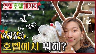 [영국 런던 근교 일상 브이로그] 영국의 5성급 호텔 크리스마스 연말 풀 패키지는 어떨까? / 영국 근교 Bath 바스 여행 호텔 추천 / 럭셔리 호캉스 vlog