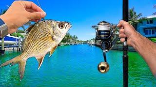 Tossing BIG Baits in Florida's Residential Canals. (Caught a GIANT)