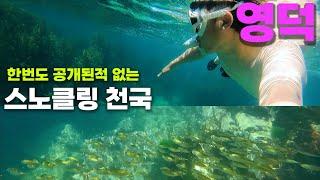 [좌표공개] 아무도 모르는 국내 최고의 스노클링 포인트. 다른 스팟들과 비교하지 마세요.. (영덕 스노쿨링 | 동해바다 스노클링 | 영덕 프리다이빙)