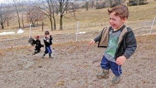 a warning to all parents with roosters