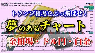 【金相場】【ドル円】【白金相場】トランプ大統領の発言に負けず、値動きに負けず……