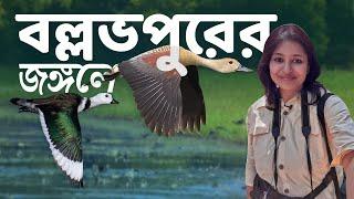 বল্লভপুরের পাখি | Ballavpur Wildlife Sanctuary & Deer Park  | Offbeat Shantiniketan