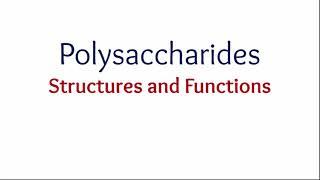 Polysaccharides