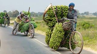 Africa’s Cheapest Solution to Transport Tons of Farm Product