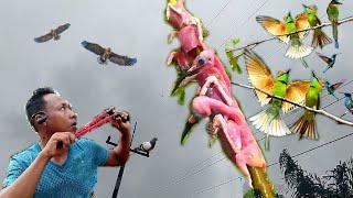 Beautiful and delicious birds - Living by hunting || Thai S