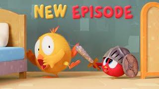 (NEW) Where's Chicky? 4 | The doll's house | Chicky Cartoon in English for Kids | NEW EPISODE