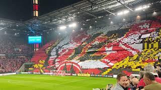 1. FC Köln: Hymne & Choreo vor dem Conference League Spiel gegen OGC Nizza