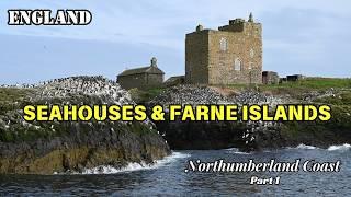 Northumberland Coast | Part 1 - Visiting Farne Islands & Seahouses, Cooking at a Campsite #England