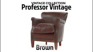 Professor Vintage Brown Distressed Real Leather Armchair