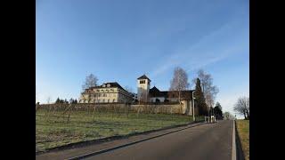 Cham ZG, Klosterkirche Heiligkreuz, Vollgeläute