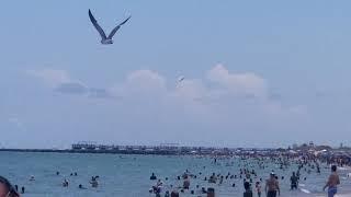 B2 Stealth Bomber flies over Miami Beach (5/30/21)