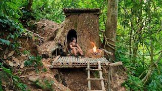 Build a Shelter Under a Rotten Tree - Building Skills, Wild Forest Beauty