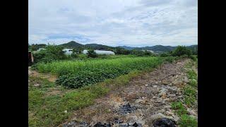 [부동산백화점]525.목포인근토지매매 목포땅매매 목포인근논매매 무안토지매매 무안땅매매 무안논매매 무안삼향읍토지매매 목포부동산 무안부동산 목포주말농장토지매매 무안삼향읍논매매