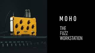 The Whole Fuzz History in one pedal - Analog Warmth and MIDI control