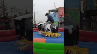 Bull  Ride Ye kya ho gya end me  @akashmishra0101 #shorts #shortsfeed #funny