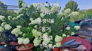 민속조경/절구/학돌/항아리/기와/연못돌/방문/실내인테리어 용품/석등/3층탑/닭모이돌