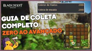 Black Desert Online - Guia completo de coleta 100% atualizado! Como iniciar do zero ao avançado!