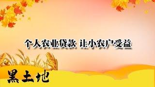 黑土地 20191023：个人农业贷款 让小农户受益