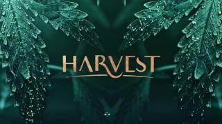 [New Series] Harvest