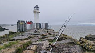 Fishing white light | | Big cod fishing mark | South Wales fishing | Fishing Bristol Channel 󠁧󠁢󠁷󠁬󠁳󠁿