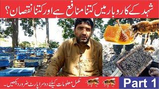 Honey Bee Keeping Farming in Pakistan | Madhumakhi Palan Hindi |मधुमक्खी पालन से लाखो कमाता | Part 1