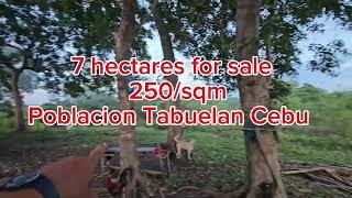 Cebu lot for sale 7 hectares Tabuelan Cebu Philippines 250/sqm